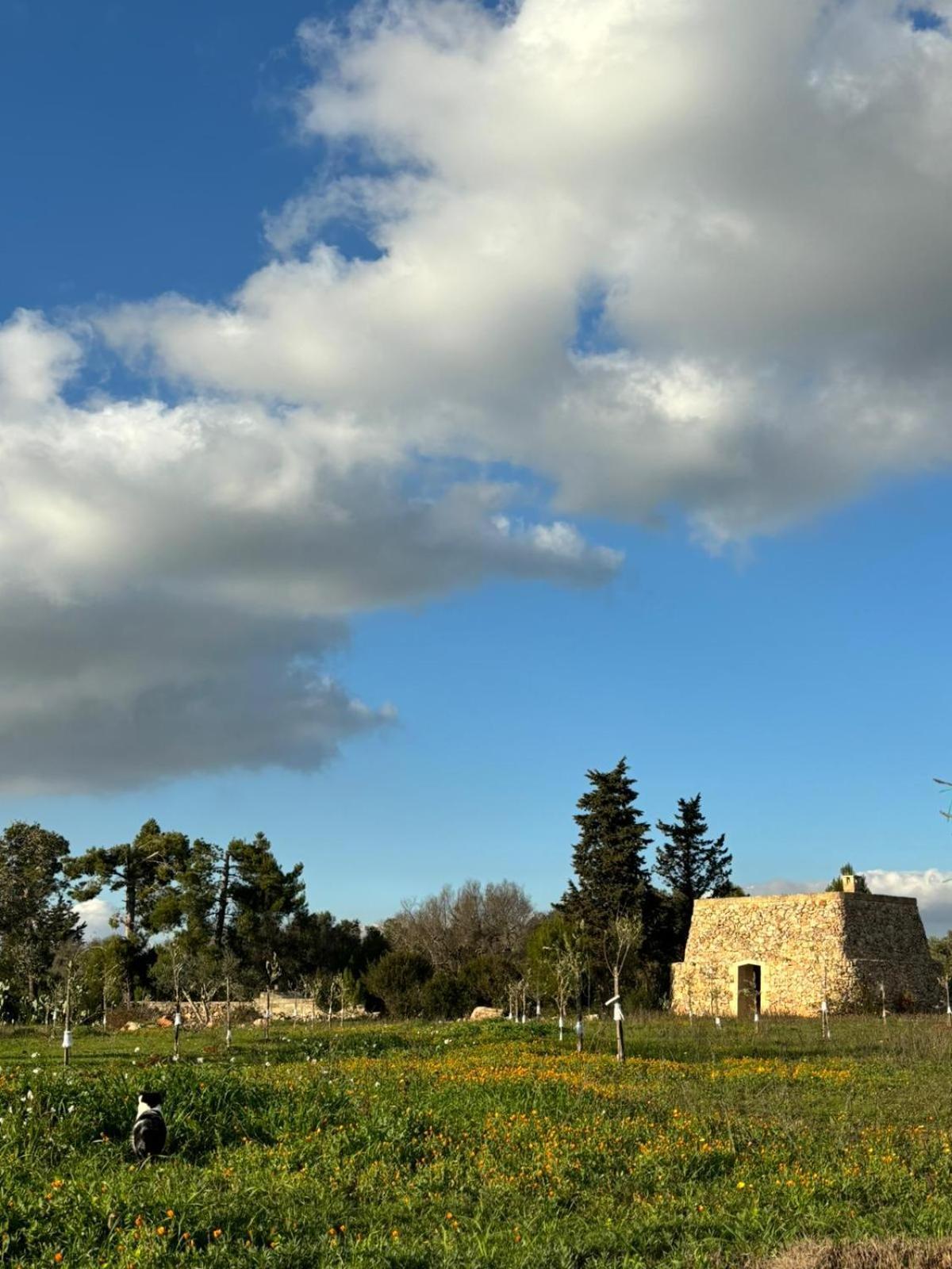 Апарт готель Badia San Michele Pajara Aida Тульє Екстер'єр фото